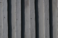 Holz4