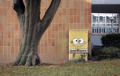 SpongeBob1